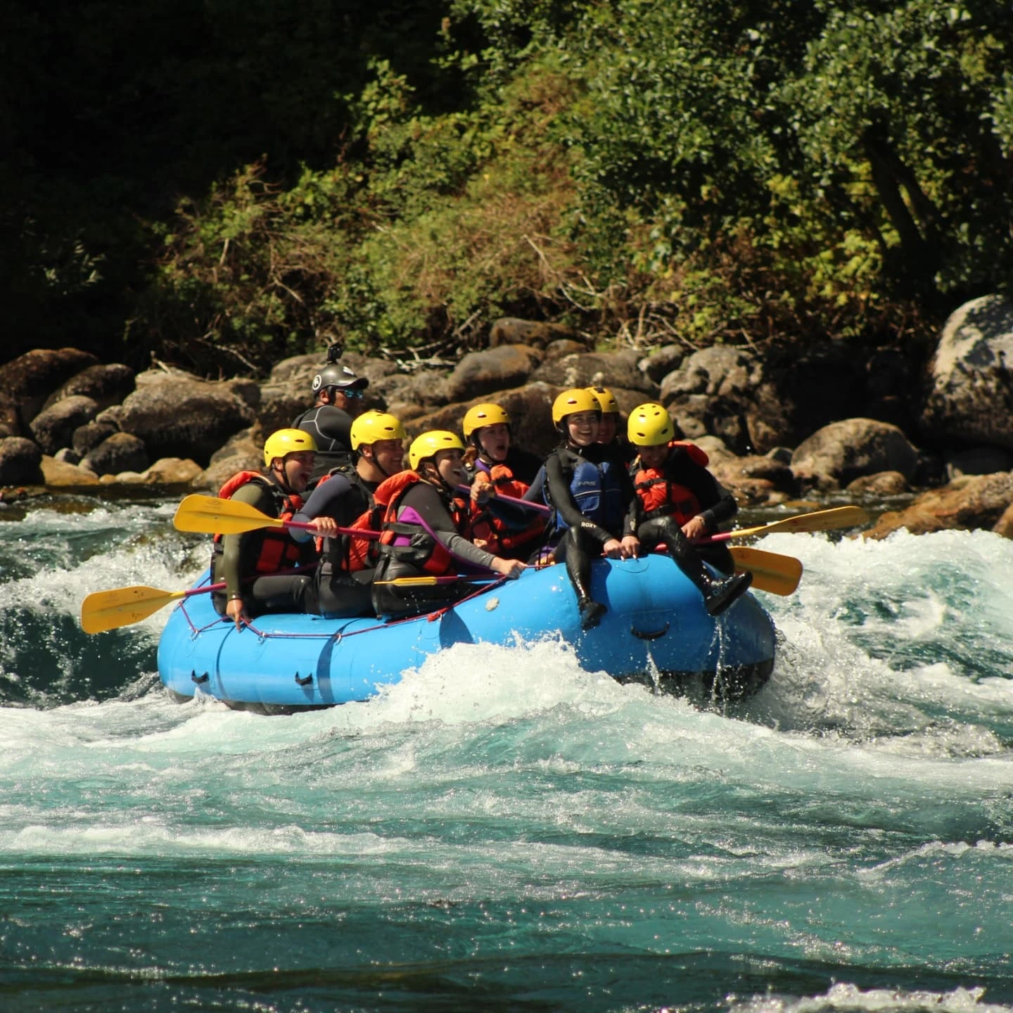 Imagen de la galería