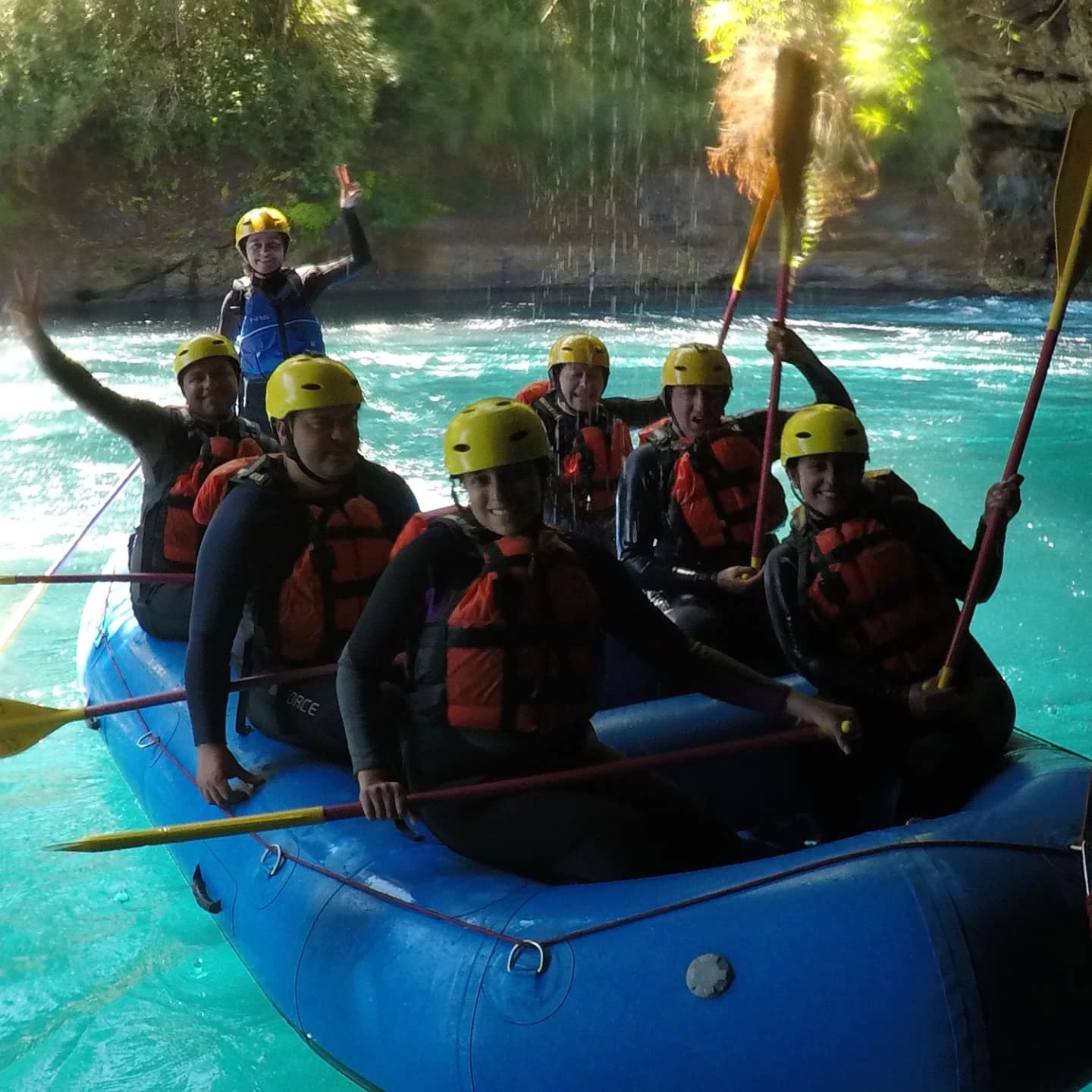 Imagen de la galería